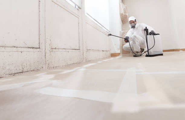 24/7 Emergency Basement Mold Remediation experts in Mount Holly Springs, PA